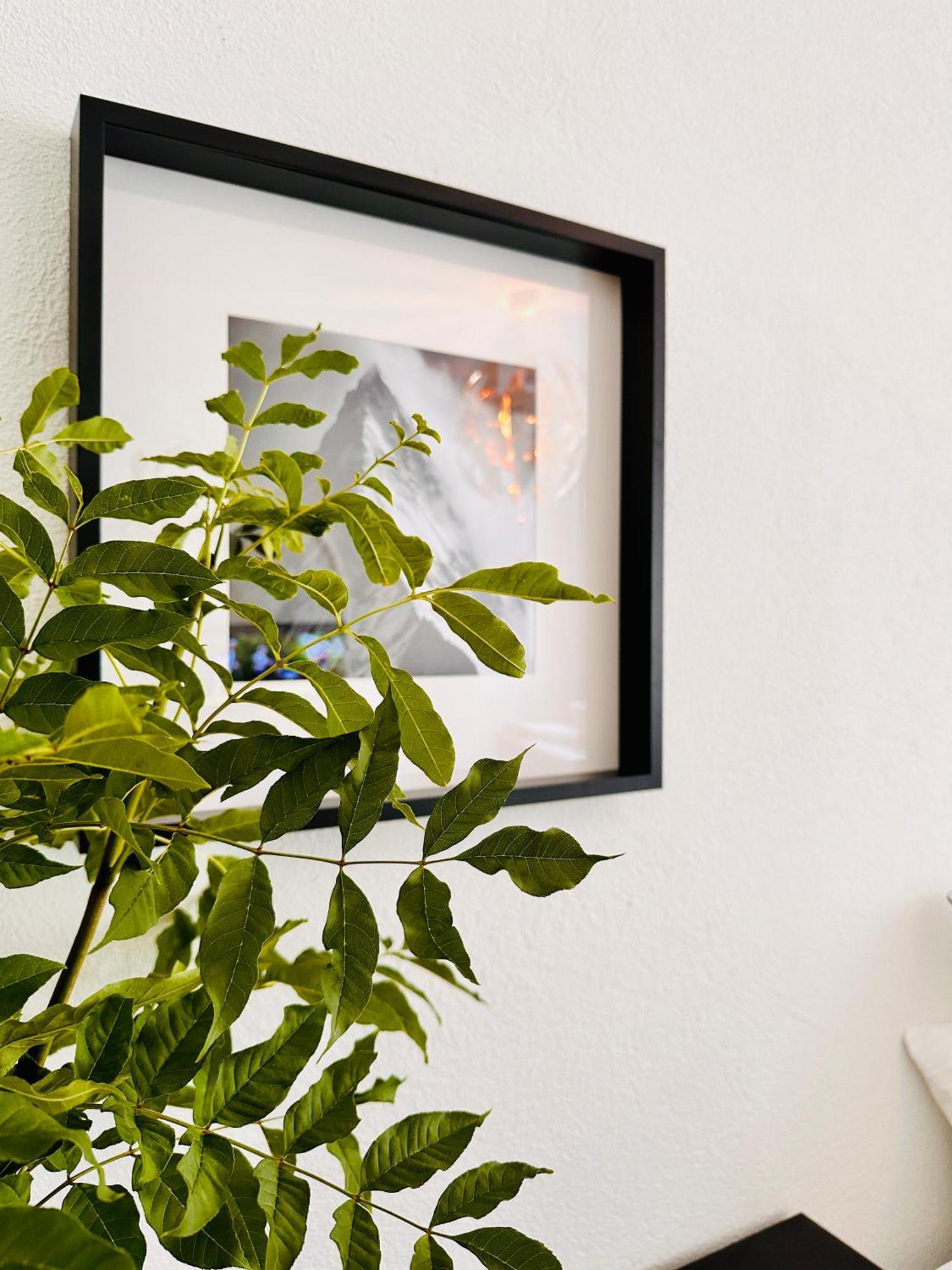 Schoene Ferienwohnung Schottwien 外观 照片